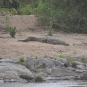  The Serengeti, TZ